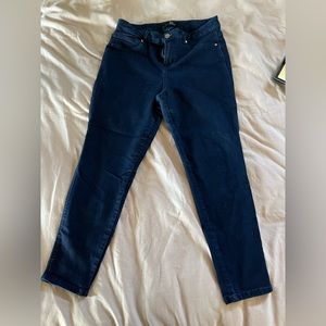 1822 Dark Wash High Rise Skinny Jean